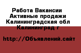 Работа Вакансии - Активные продажи. Калининградская обл.,Калининград г.